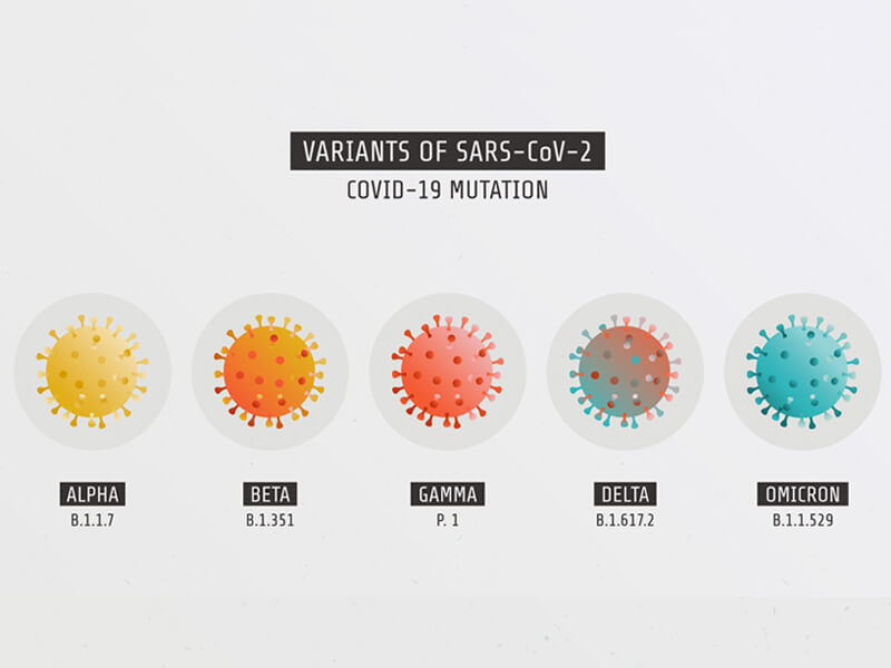 รวบรวมสายพันธุ์โควิด-19 กลายพันธุ์