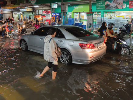 สัตว์อันตรายหนีน้ำมากับฝน โดนกัดมา เคลมประกันได้ไหม